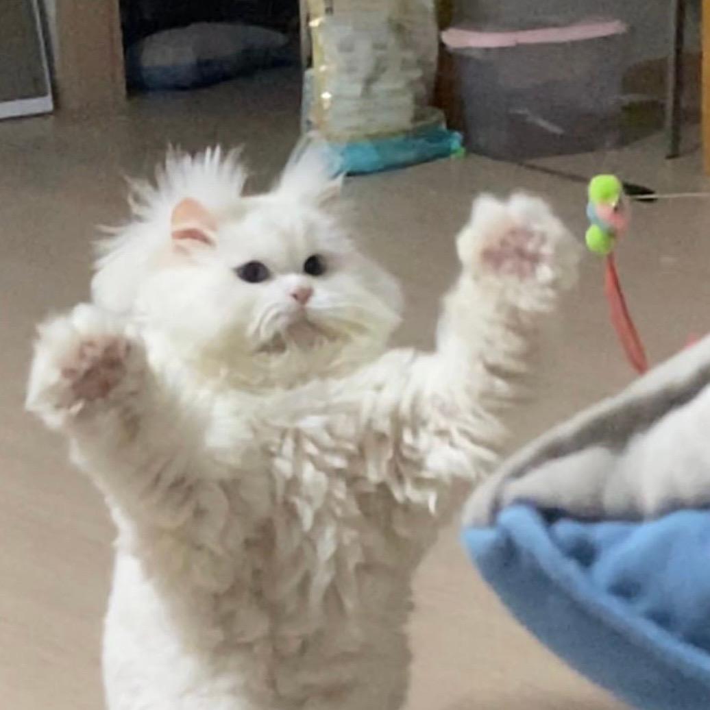 你骑车会载人吗