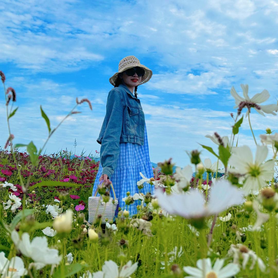 @莹宝（学习中）