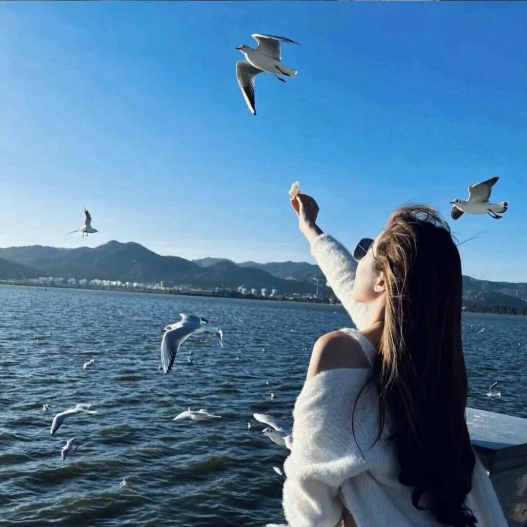 ㅤ ㅤㅤㅤㅤ？