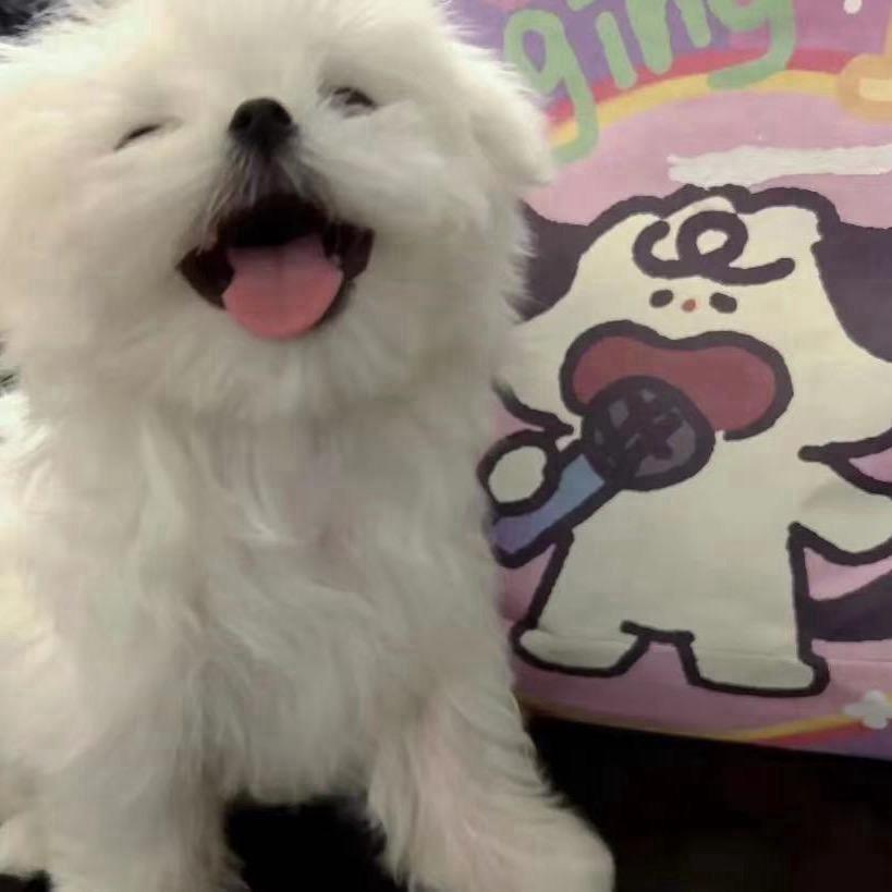 公主^-^