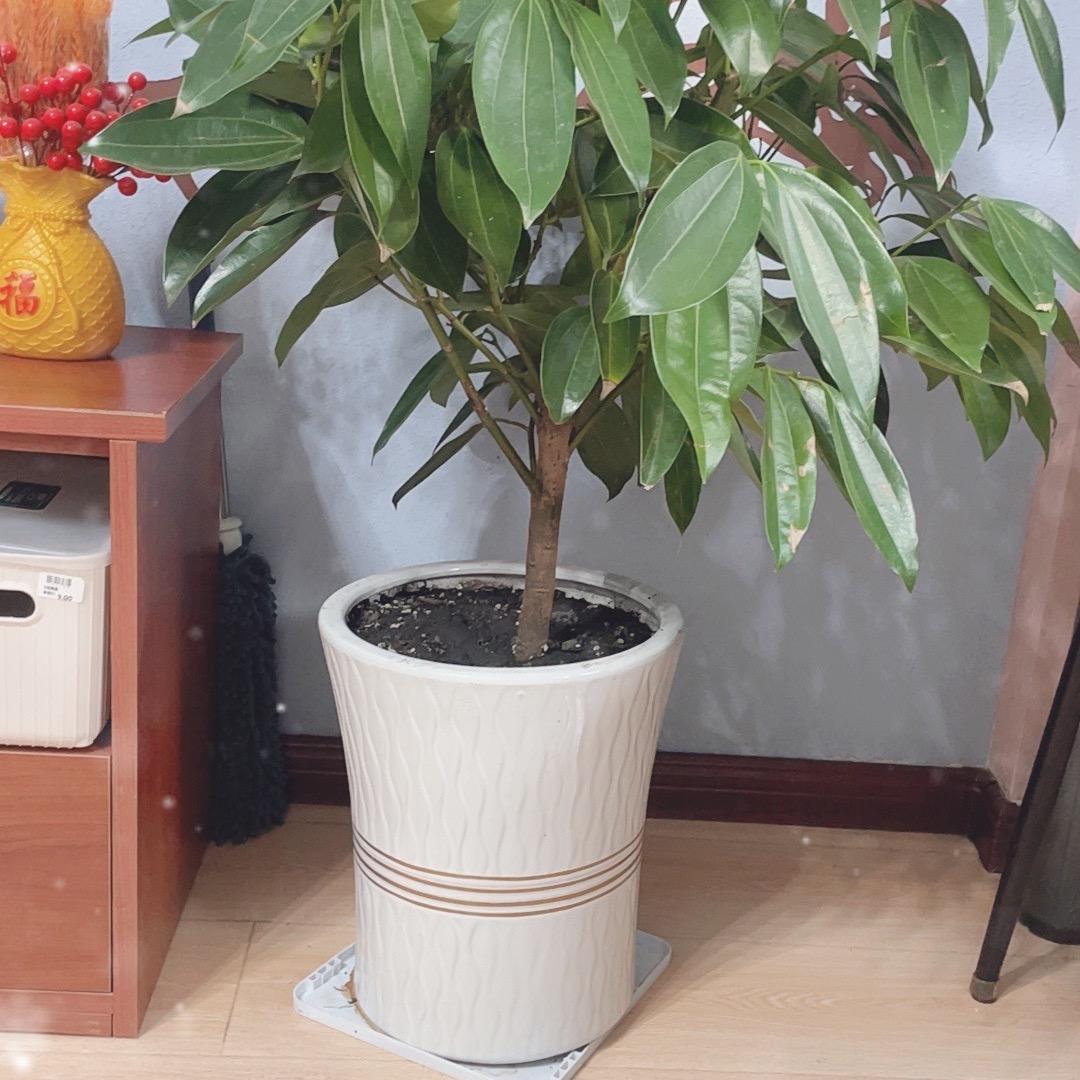 亲子检定赵老师