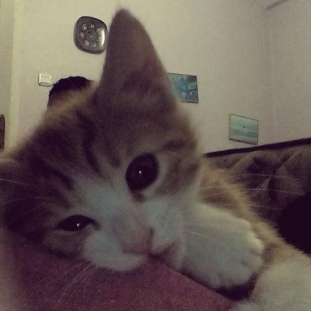 不要跟我乱说话