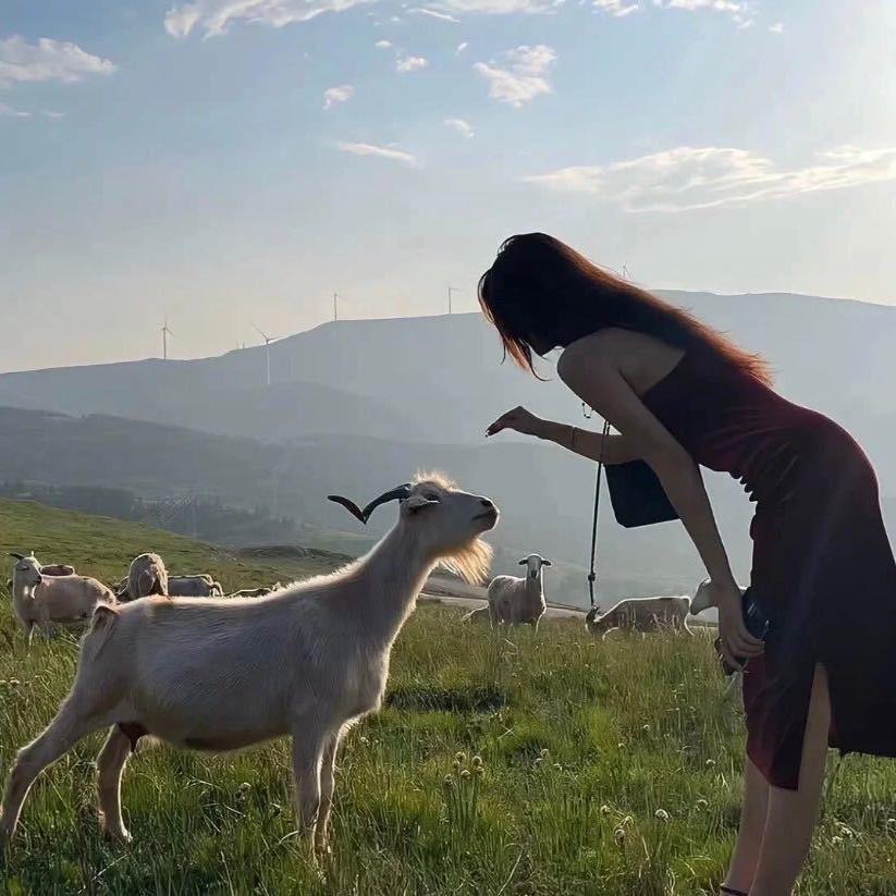大玥女装