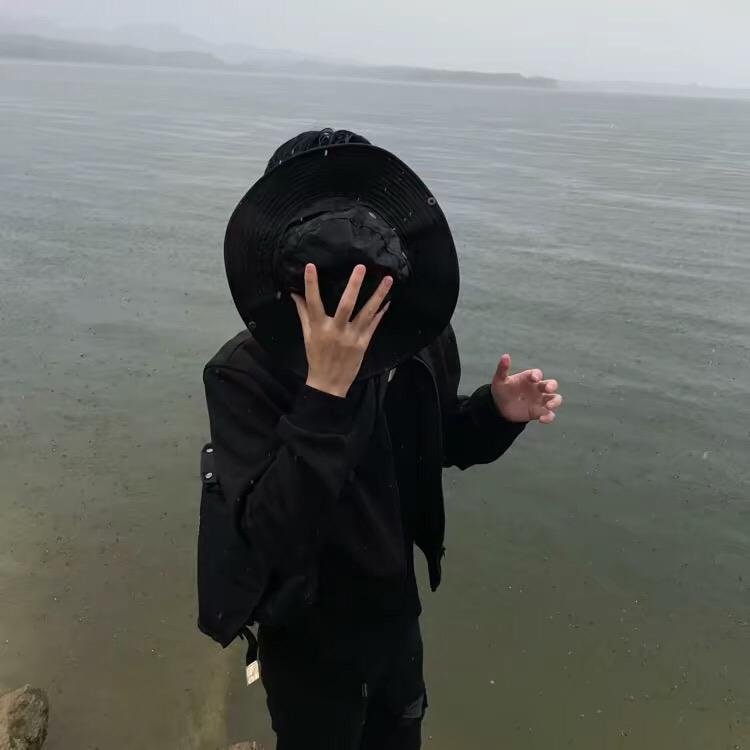 达芬奇