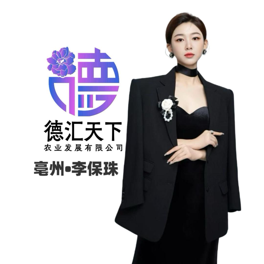 德汇天下 -保珠