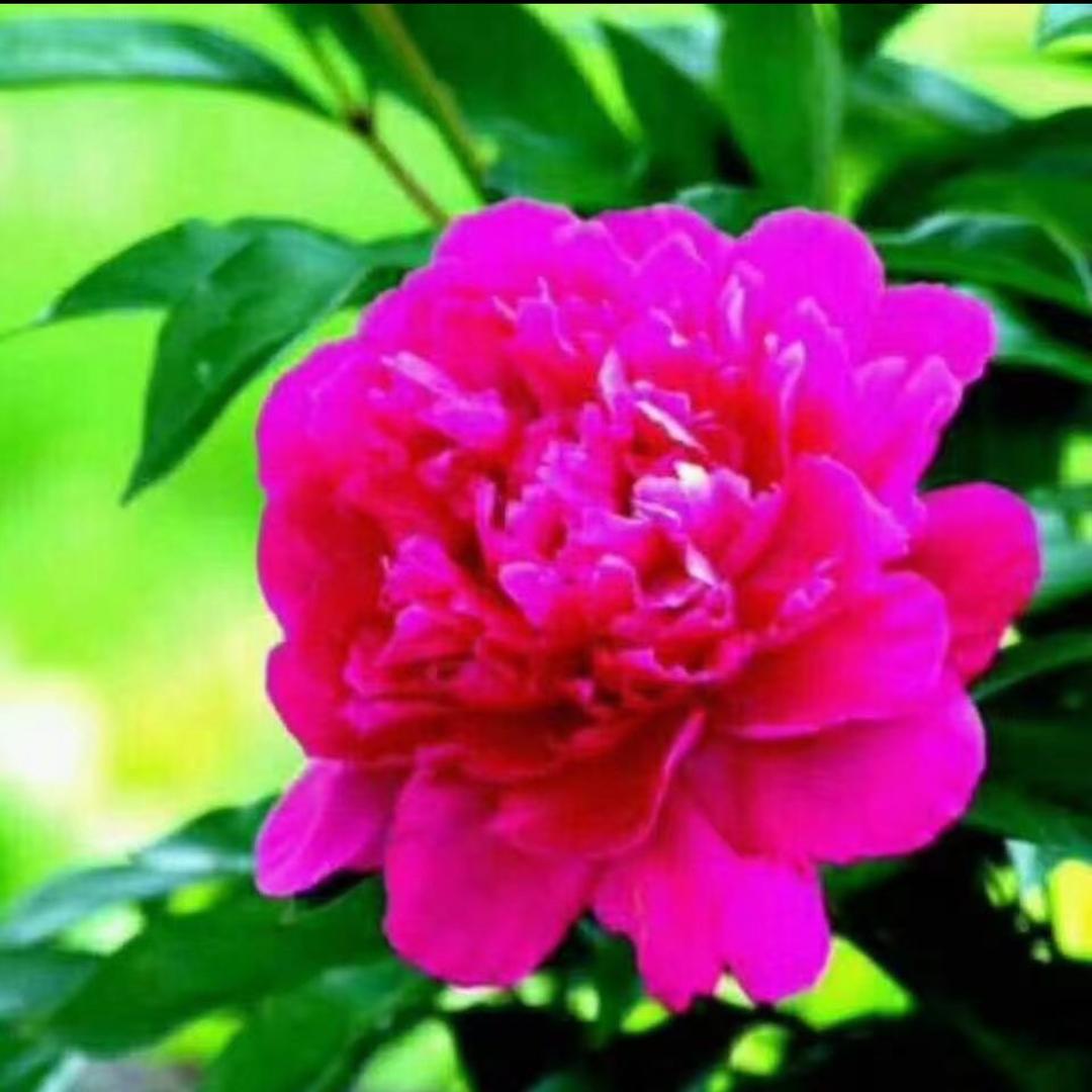 幸福快乐一家人