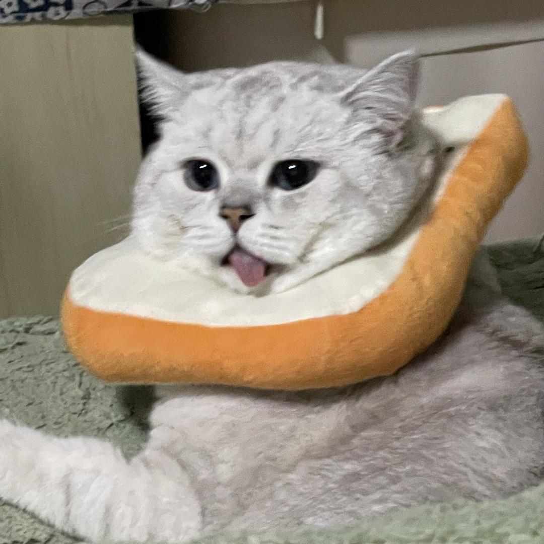 胖头鱼爱吃崽崽