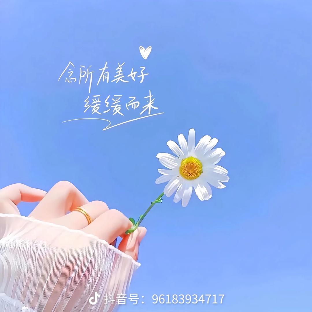 欣欣向荣。