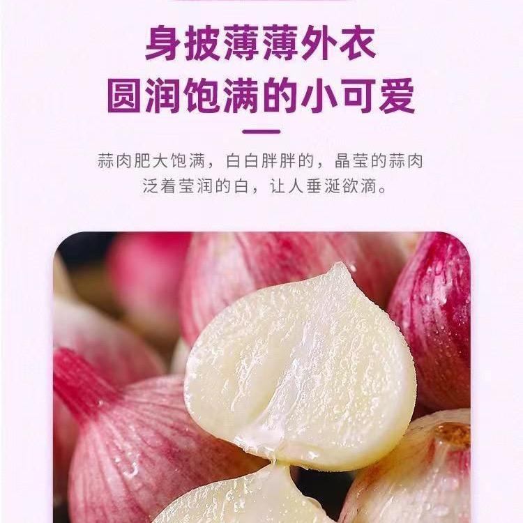 包谷粑🌽