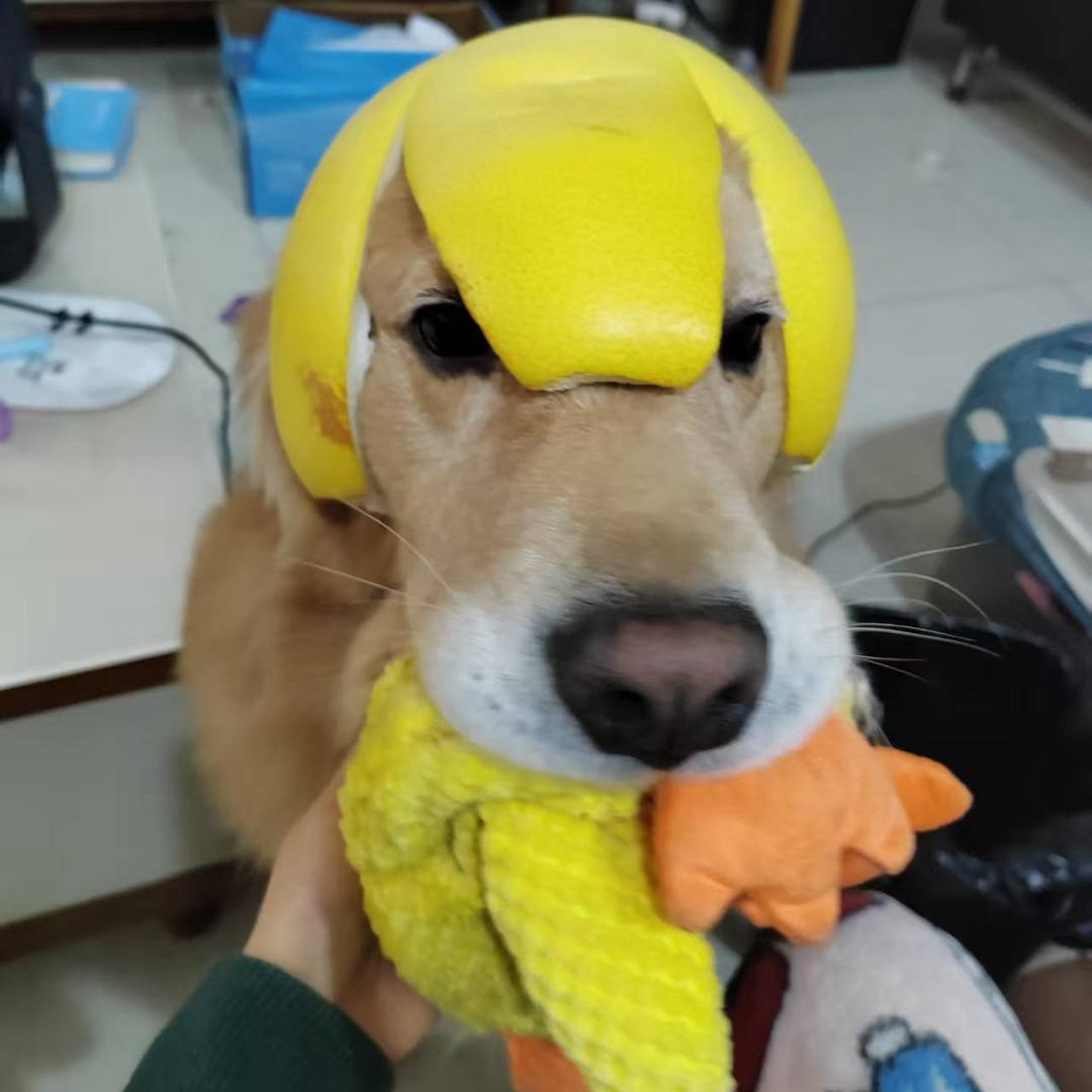 清风朗月