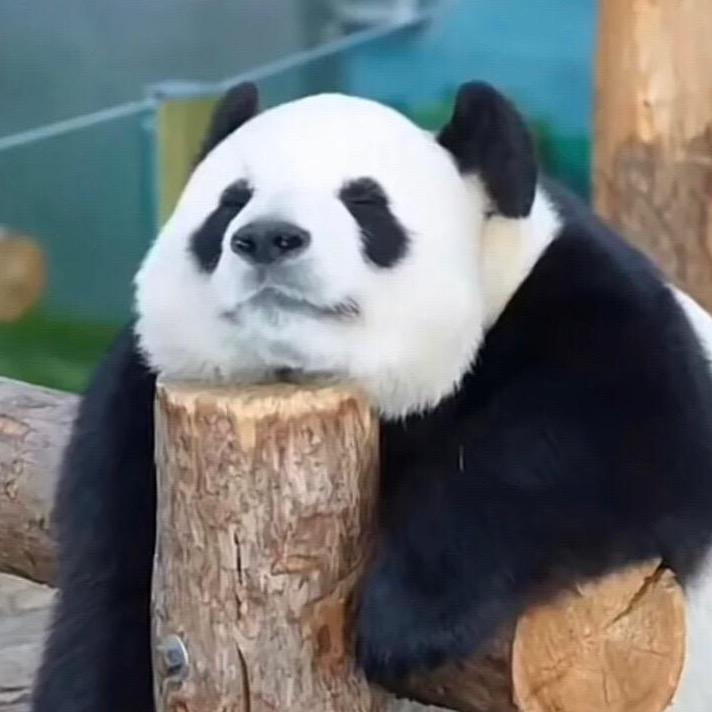 咪咪咔潮玩