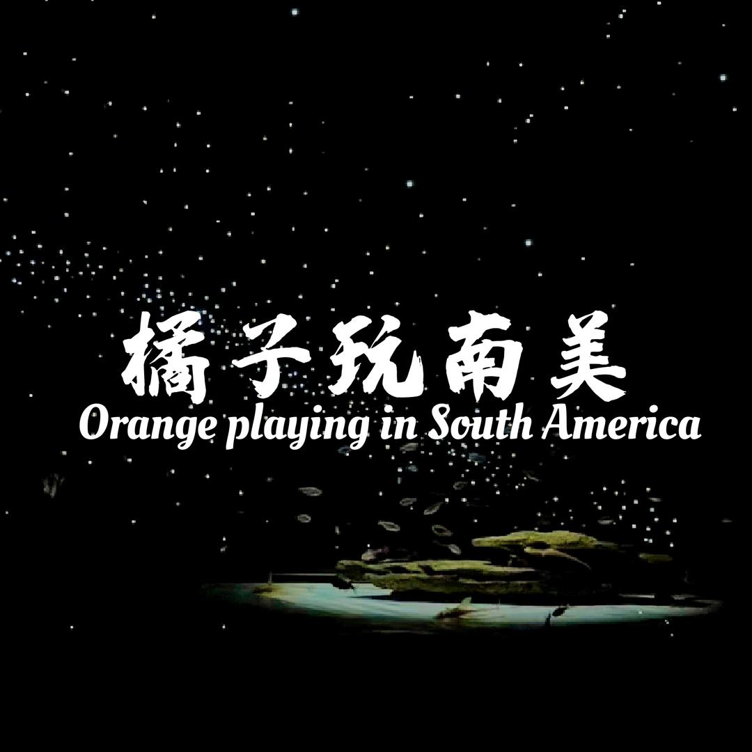 橘子🍊（星空板定制）
