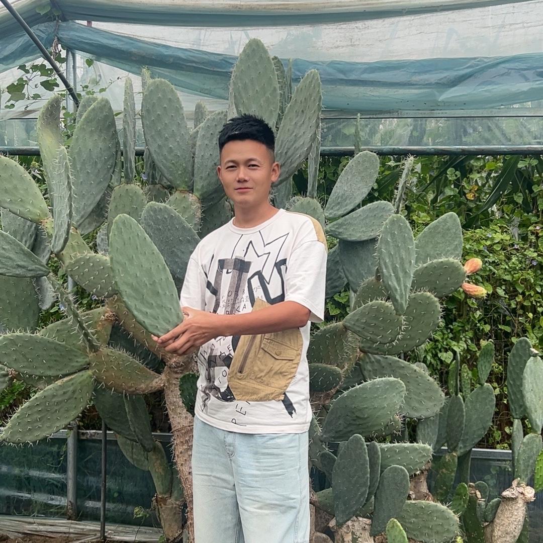 可儿园艺