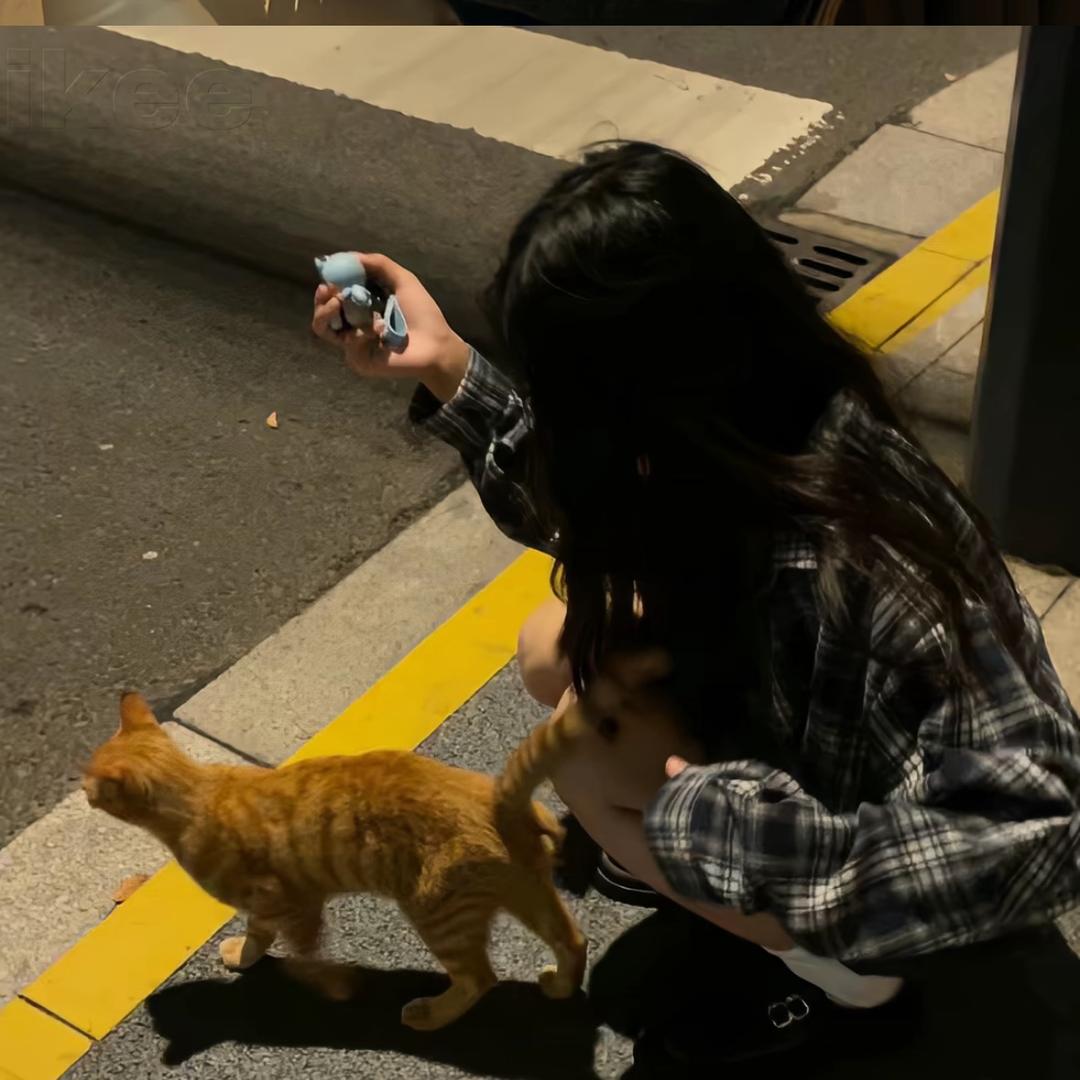 鶔