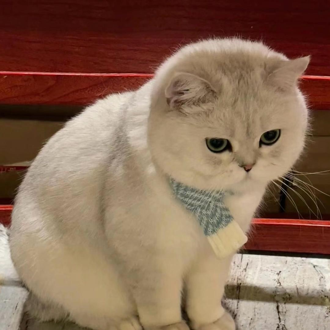 㡈