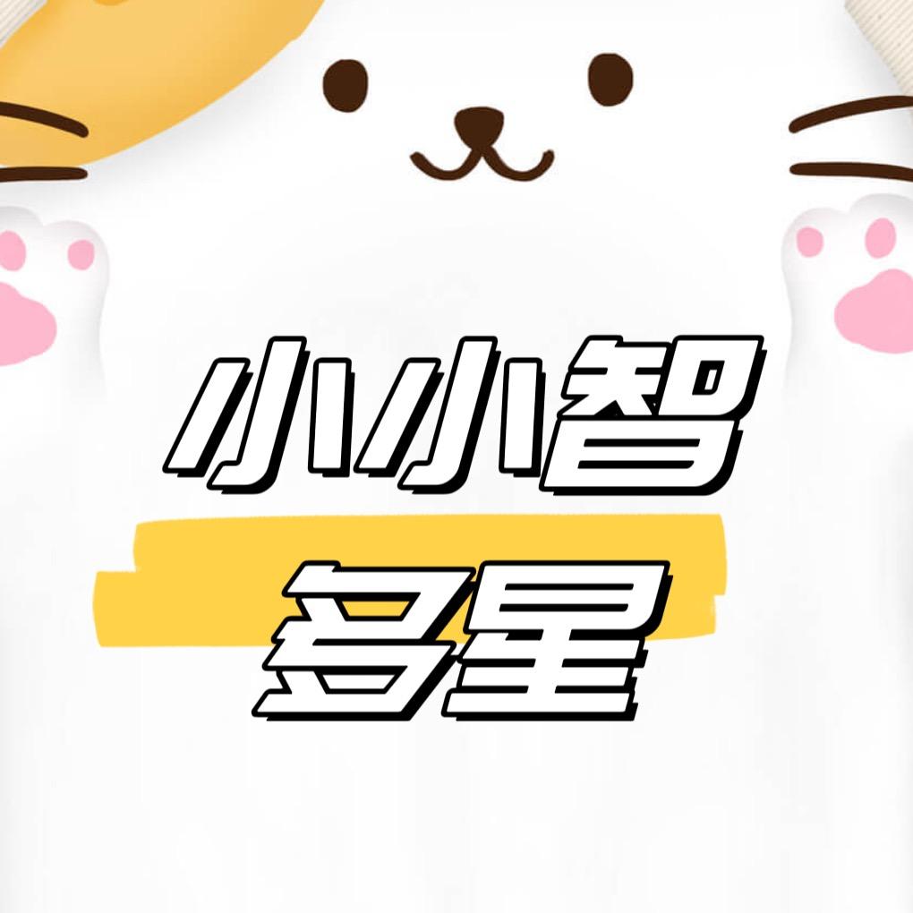 小小智多星