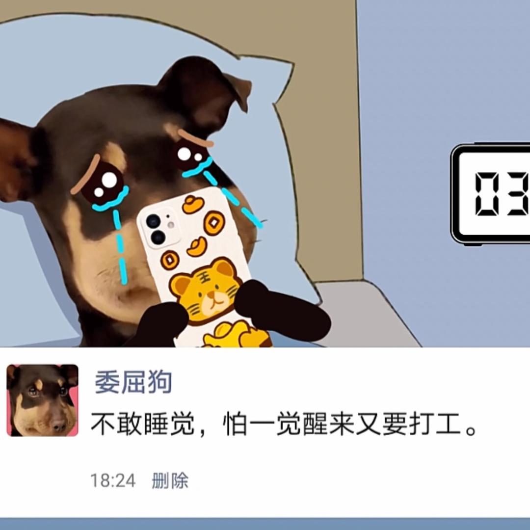 日有寸进