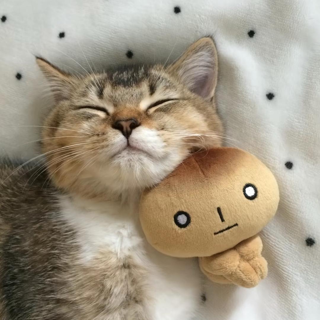 世界对我好点行不行