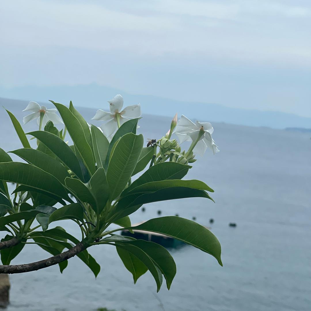 农村人的心态