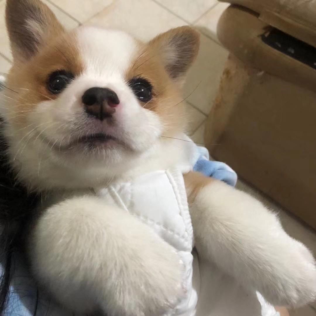早睡起不来