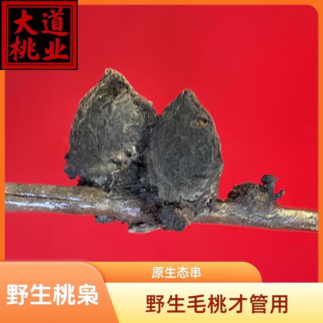 大道桃业8号店大道桃业