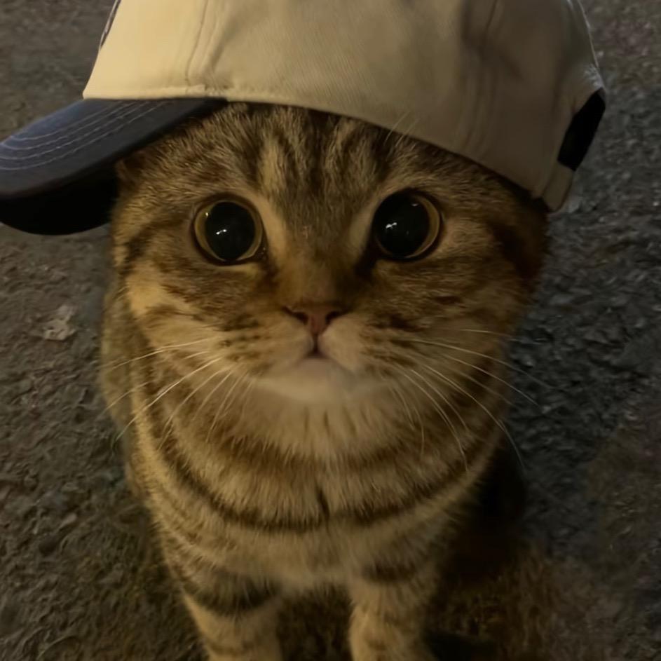 真爱