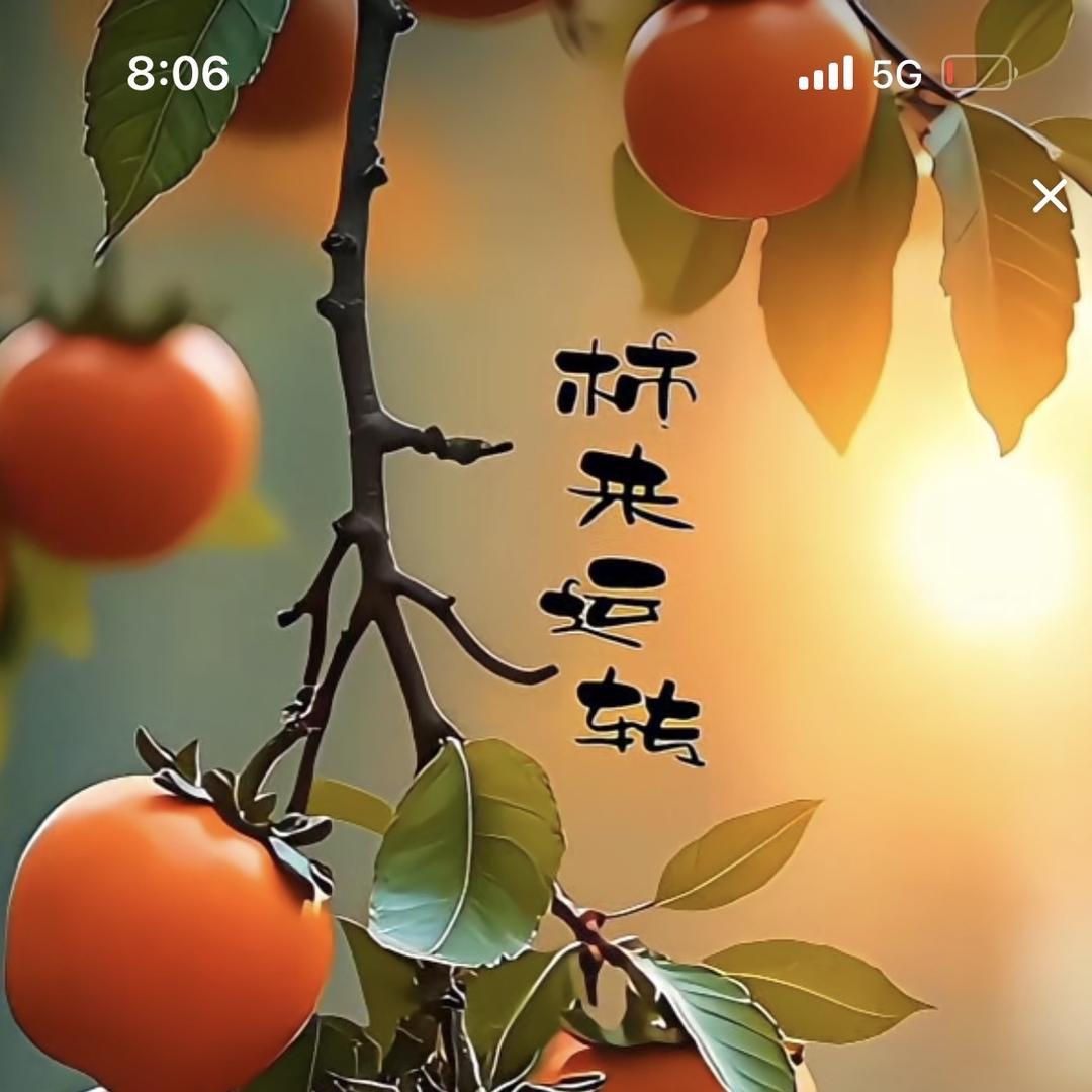 岁月静好