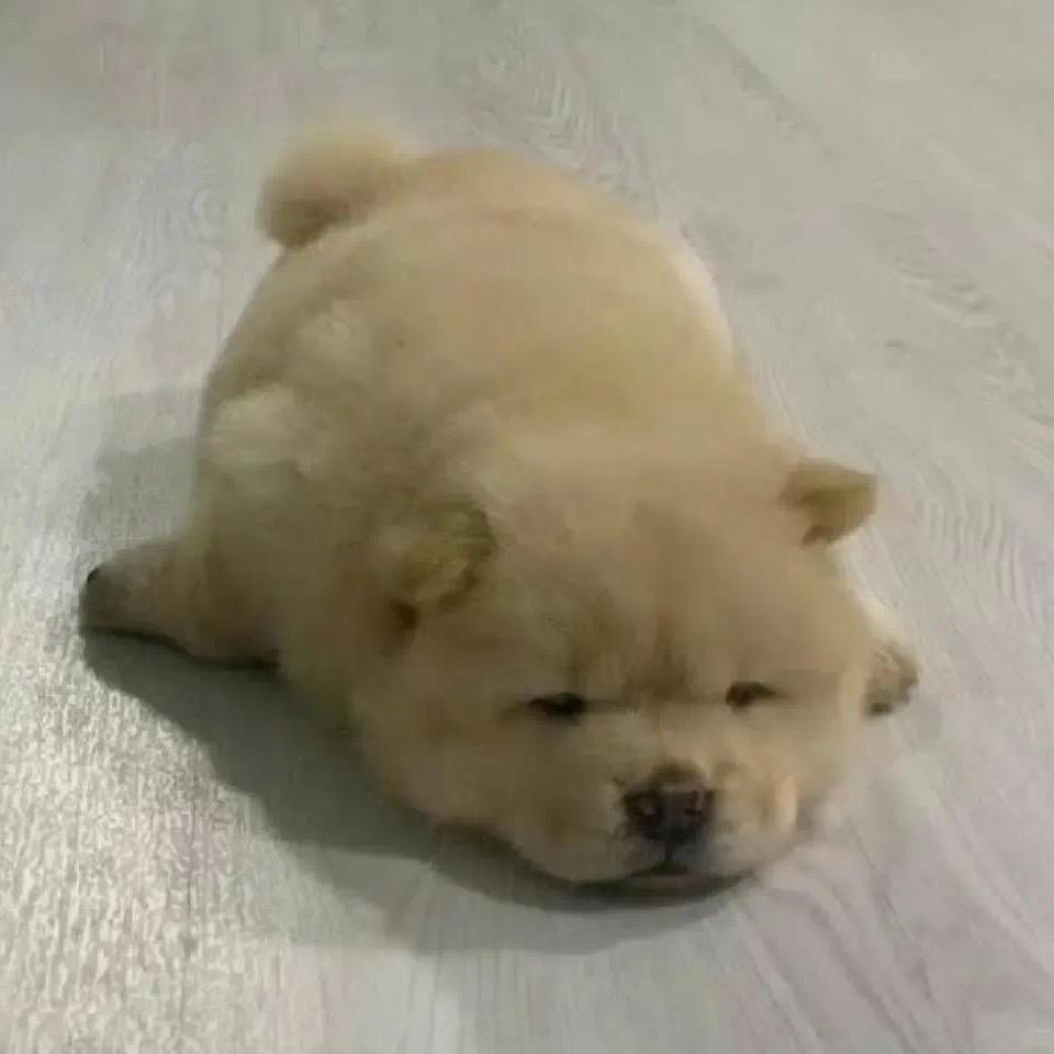 欲