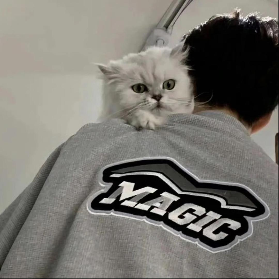 懒猫C.