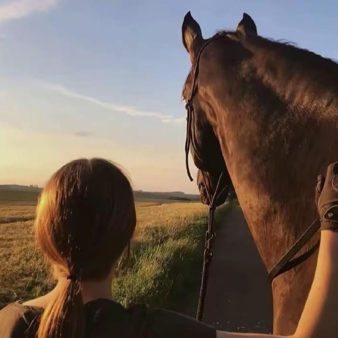 ￰￰  ￰幸好思念无声