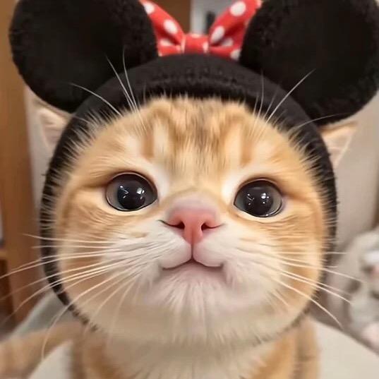 该取什么名字好呢