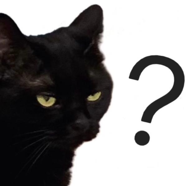 我小猫呢
