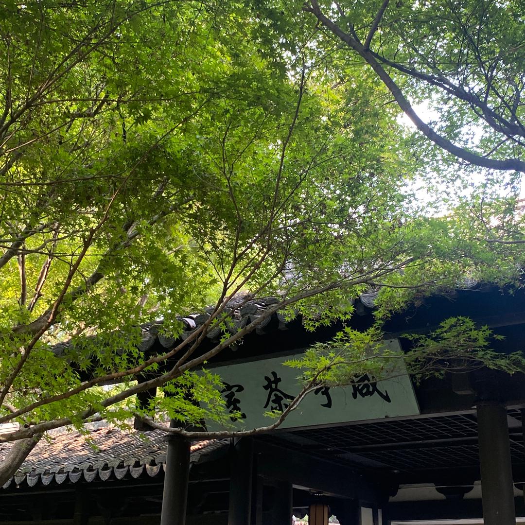七七小个子穿搭甜菜