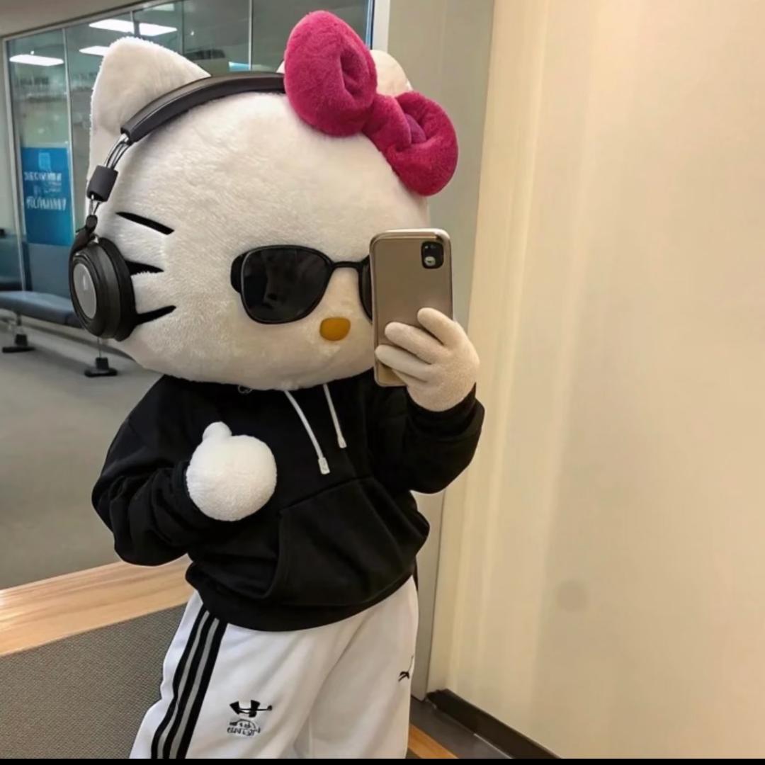 笨猫多只