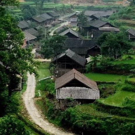 天然氧吧露营
