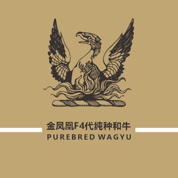 牧匀荟澳洲金凤凰纯种和牛