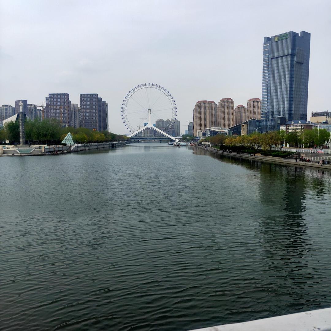 仙人掌