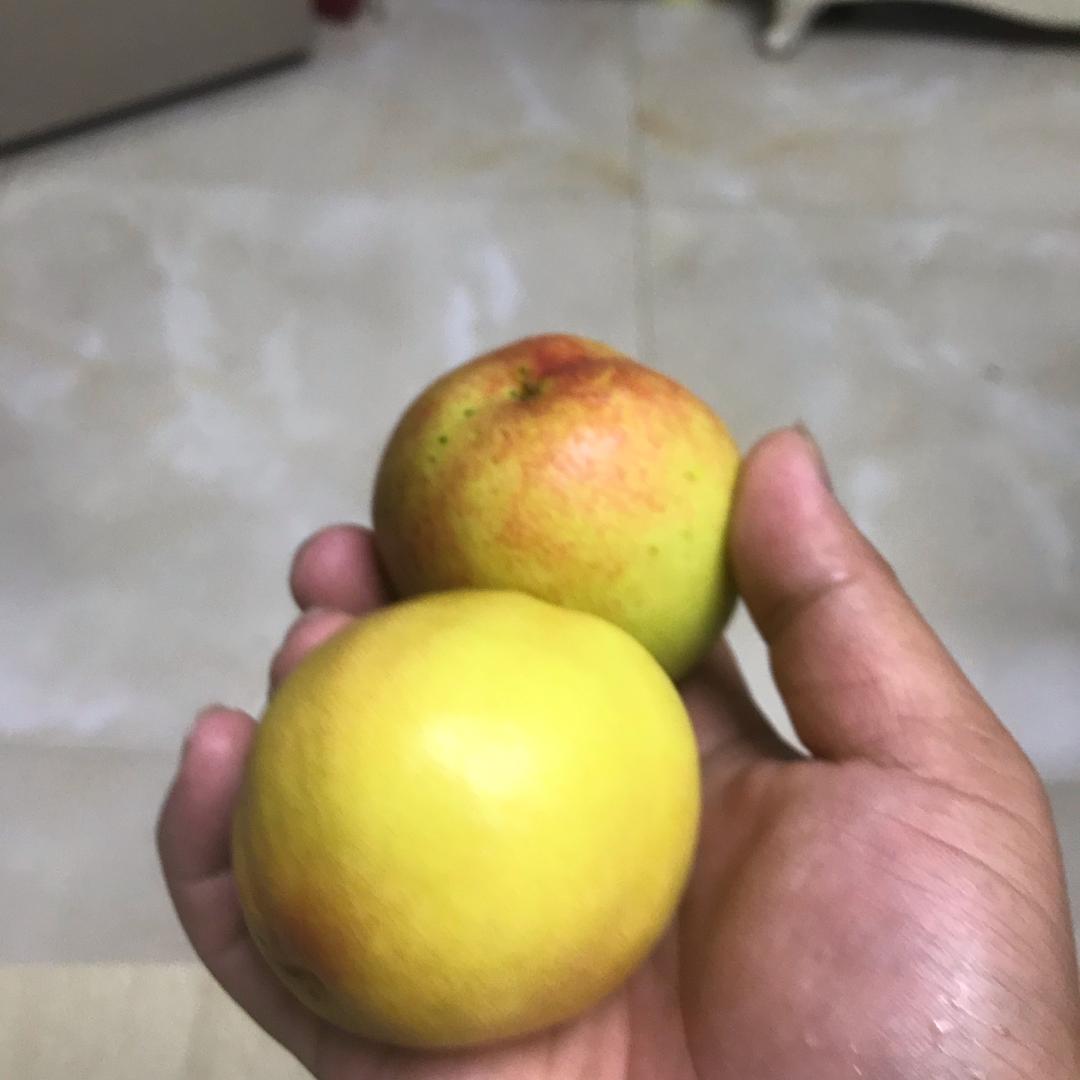 安仁