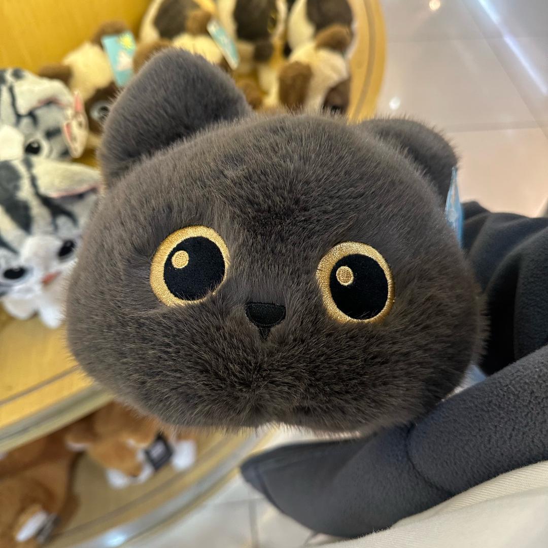 赵发财.ぃ