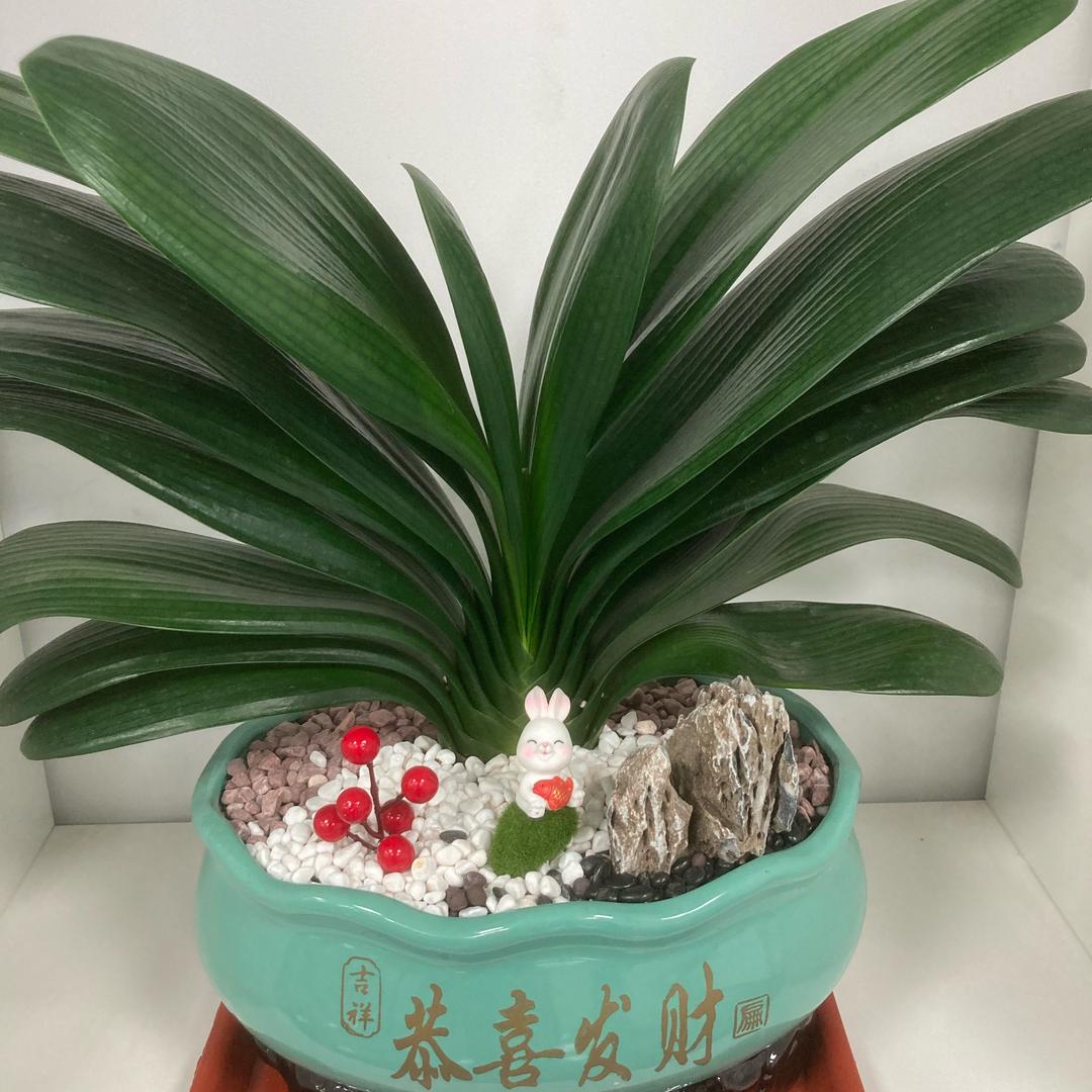 A清风