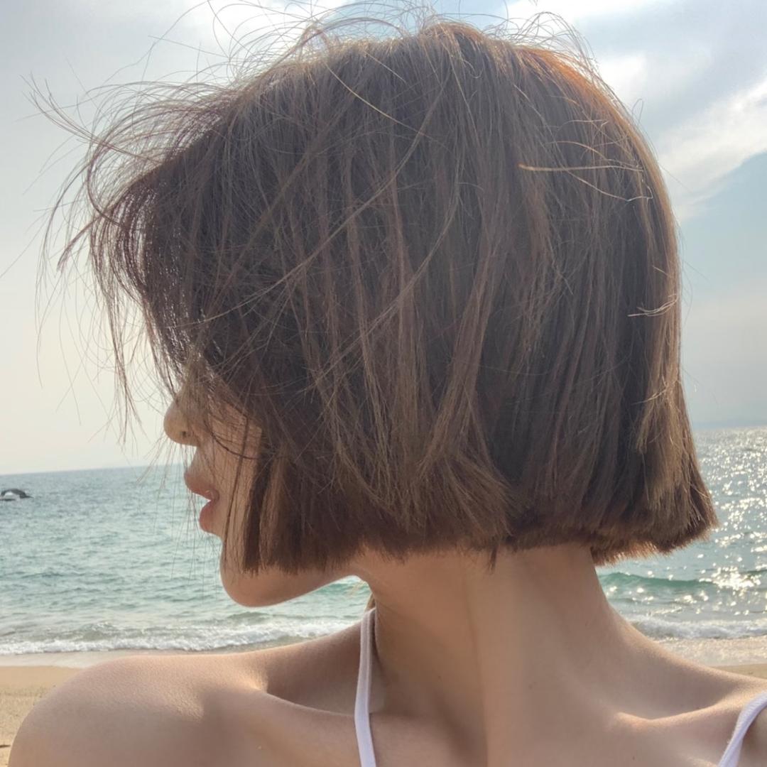 会有猫的