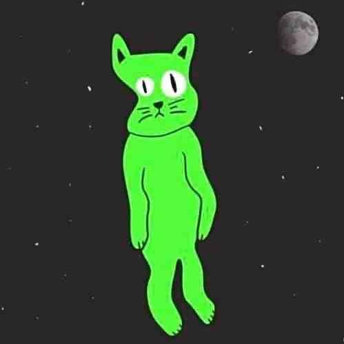 互联网冲浪大王