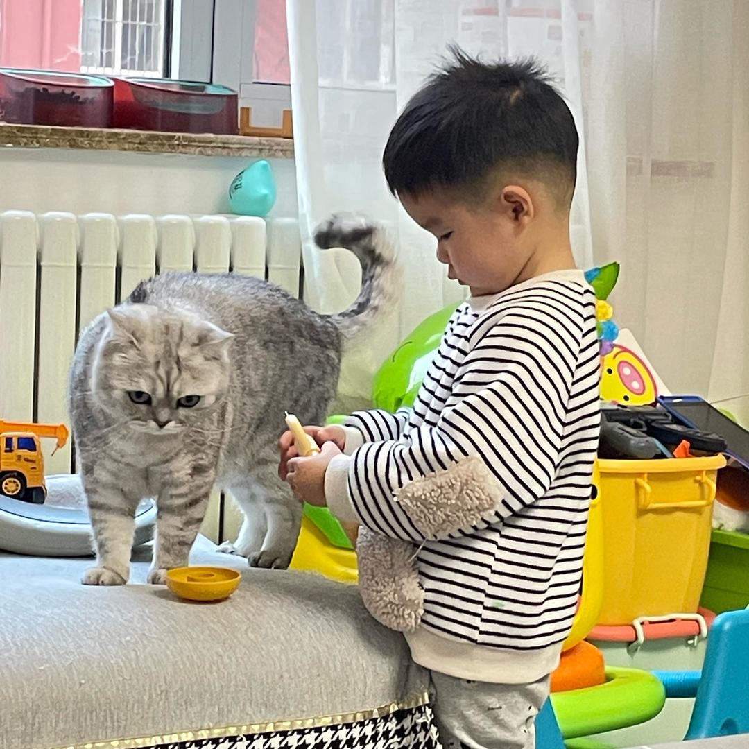小唐和他的守护喵