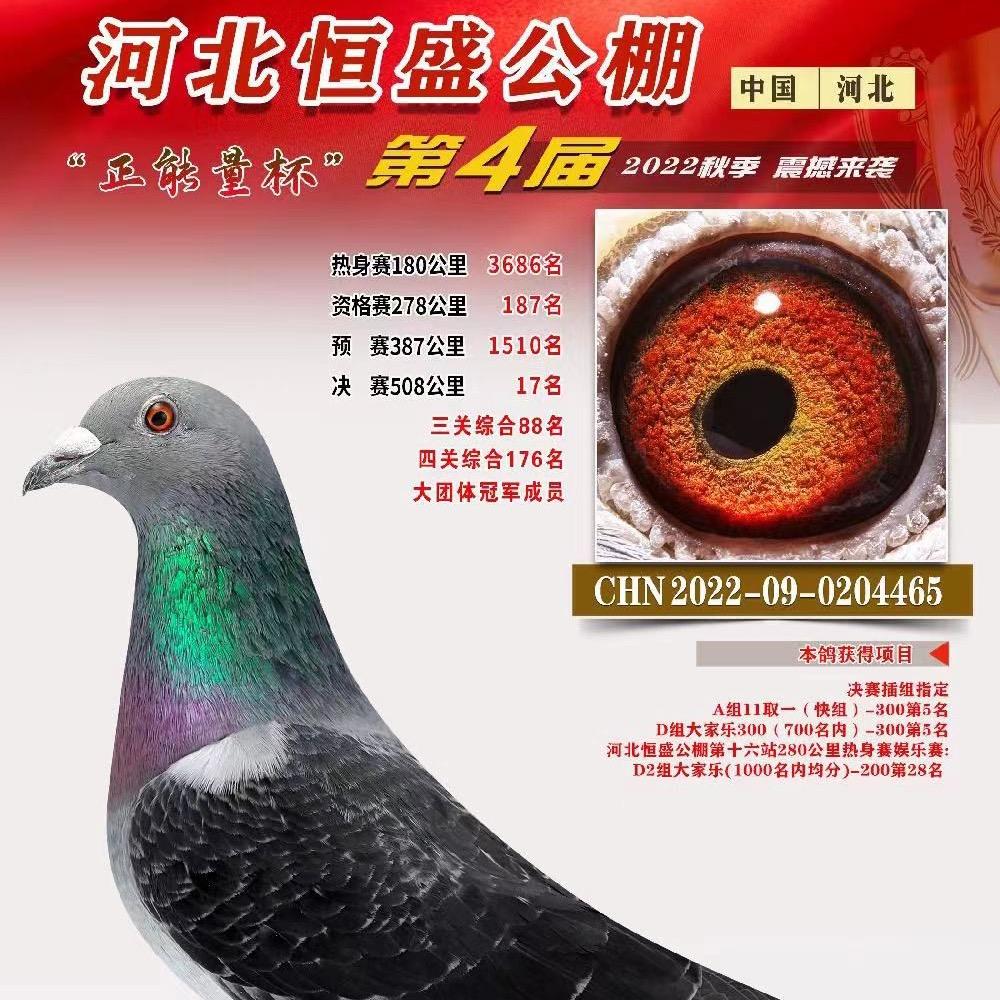 九霄鸽舍