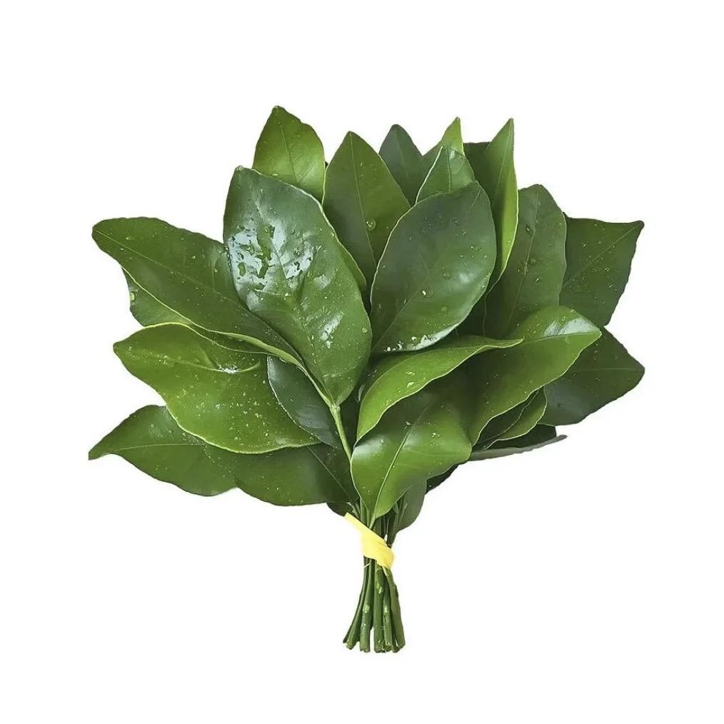 悅悅՞