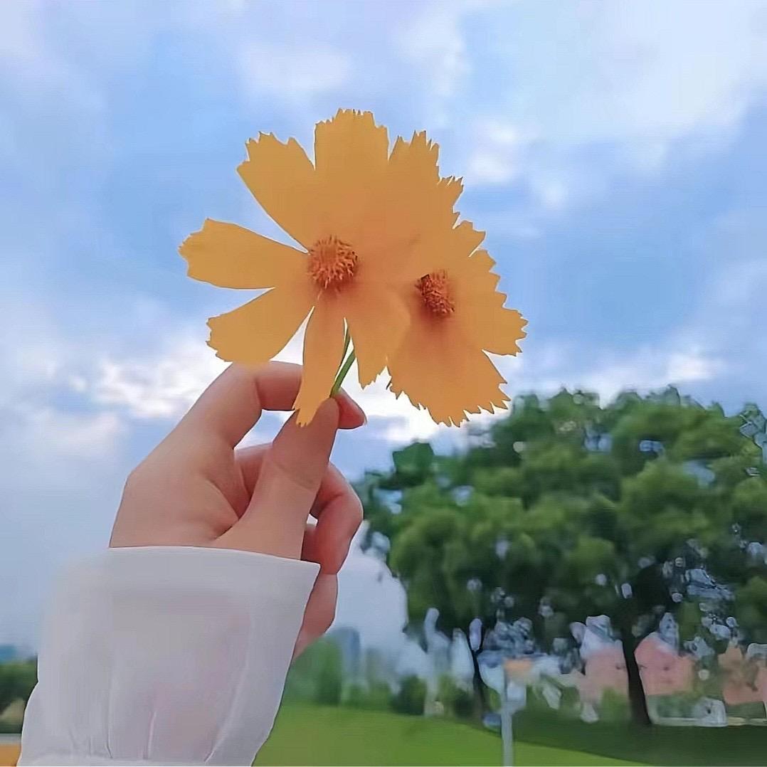 传七