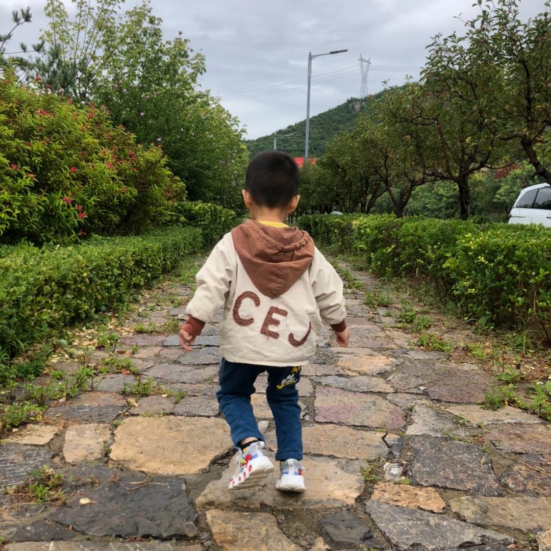 山东来的男人🧔