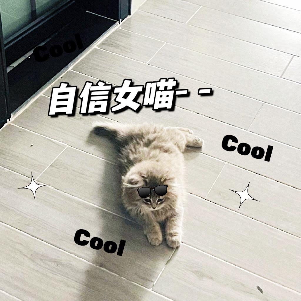 开心日常呀✨
