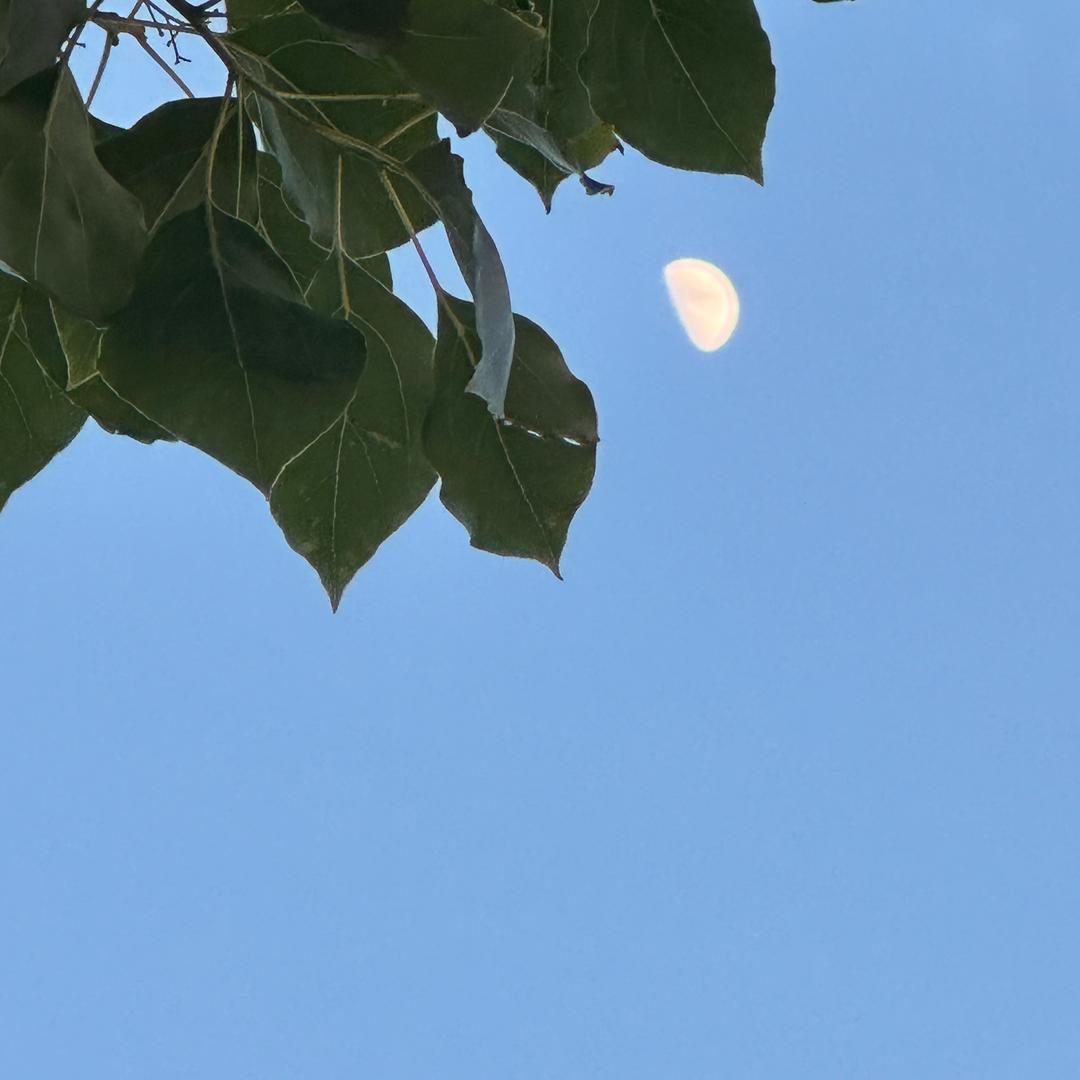 难得不难得