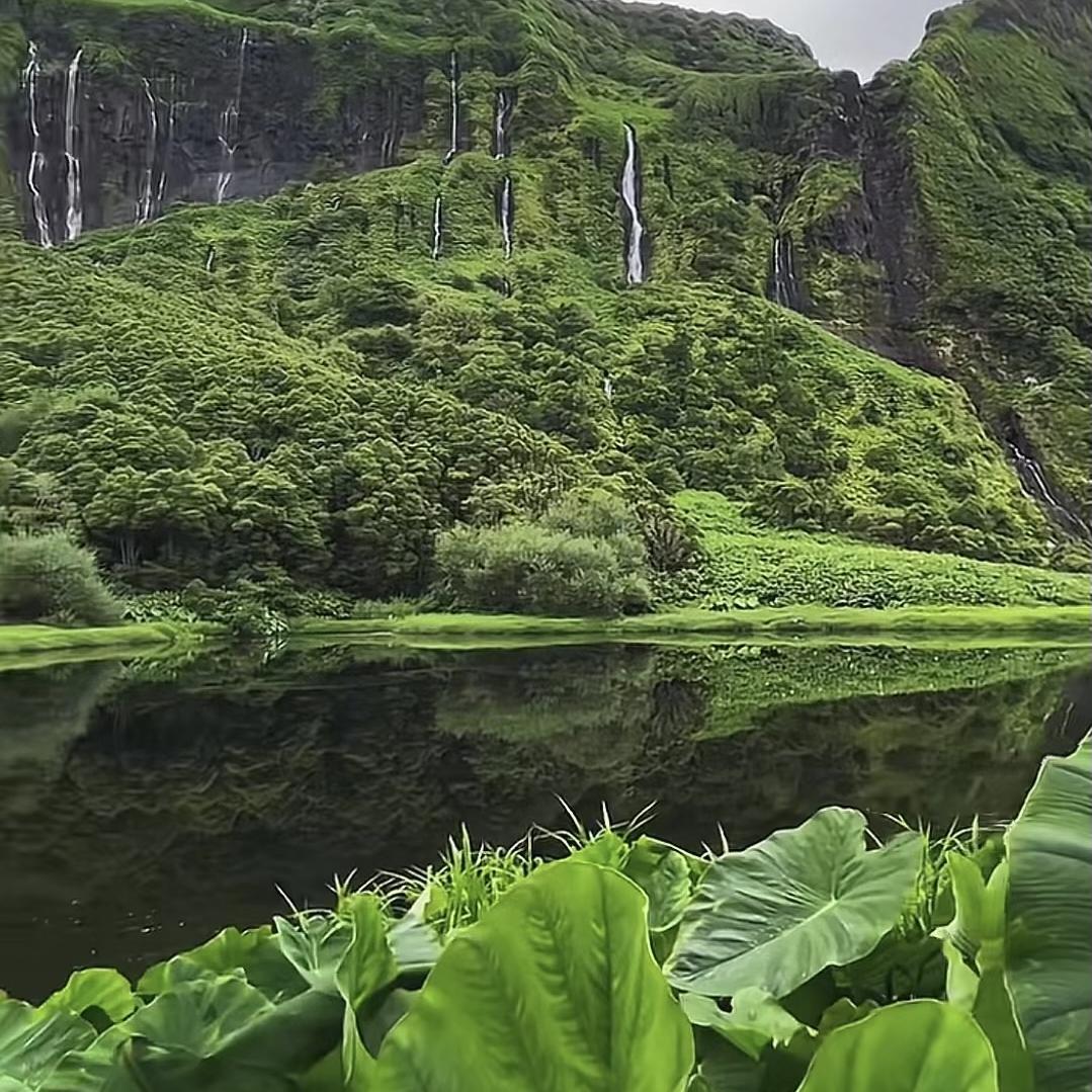 古方萃取个护推荐